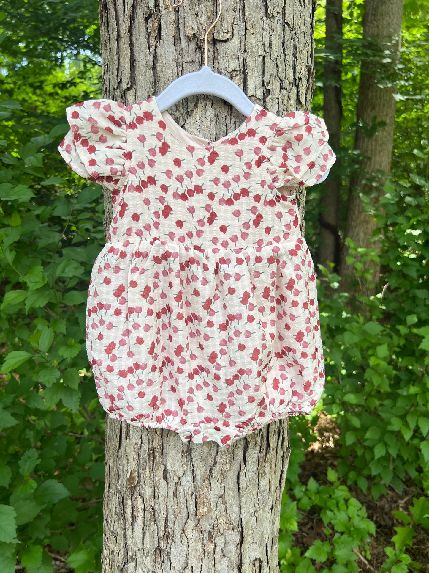 Tulip Fields Romper