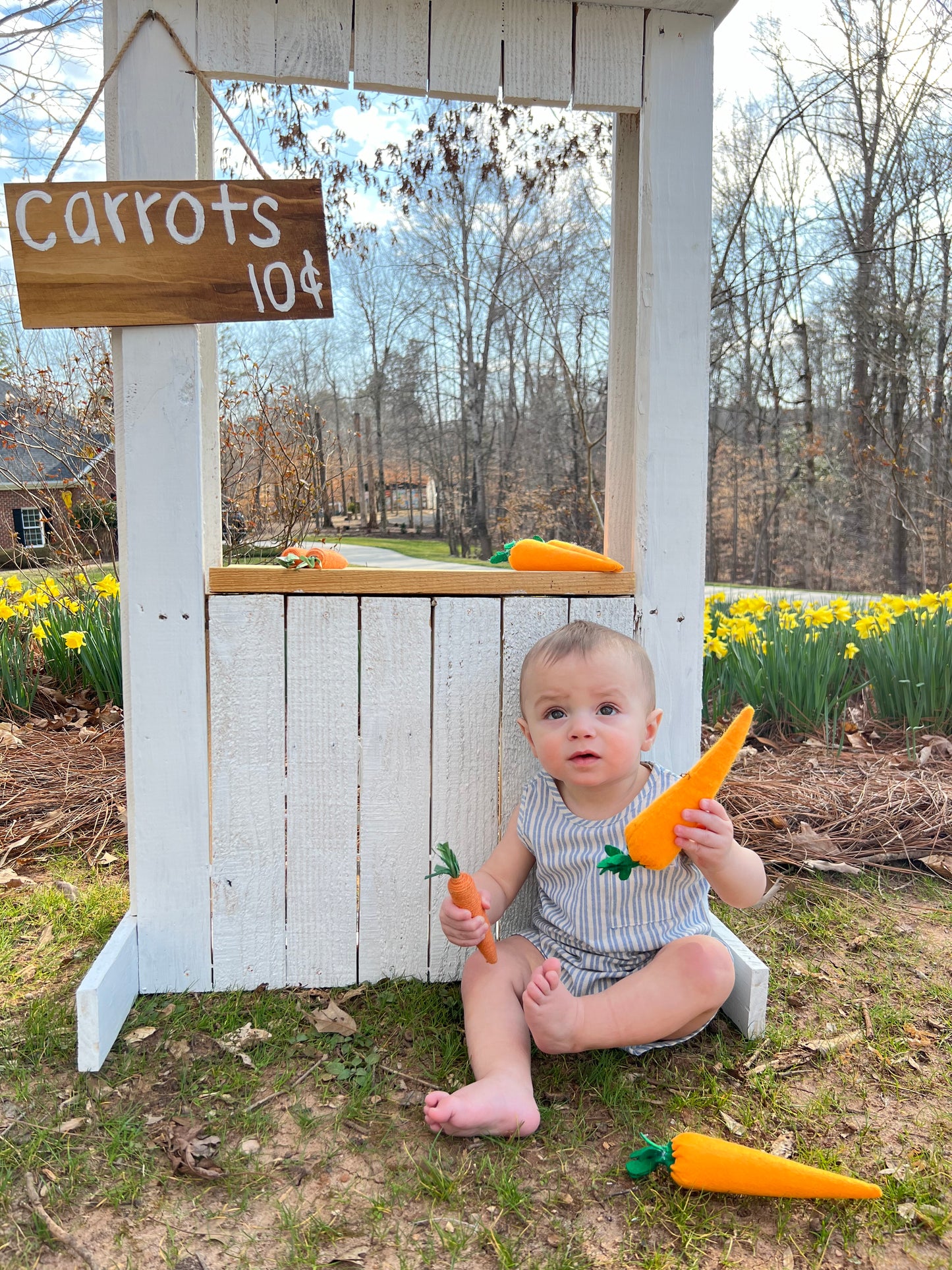 Blissful Breeze Boys Romper