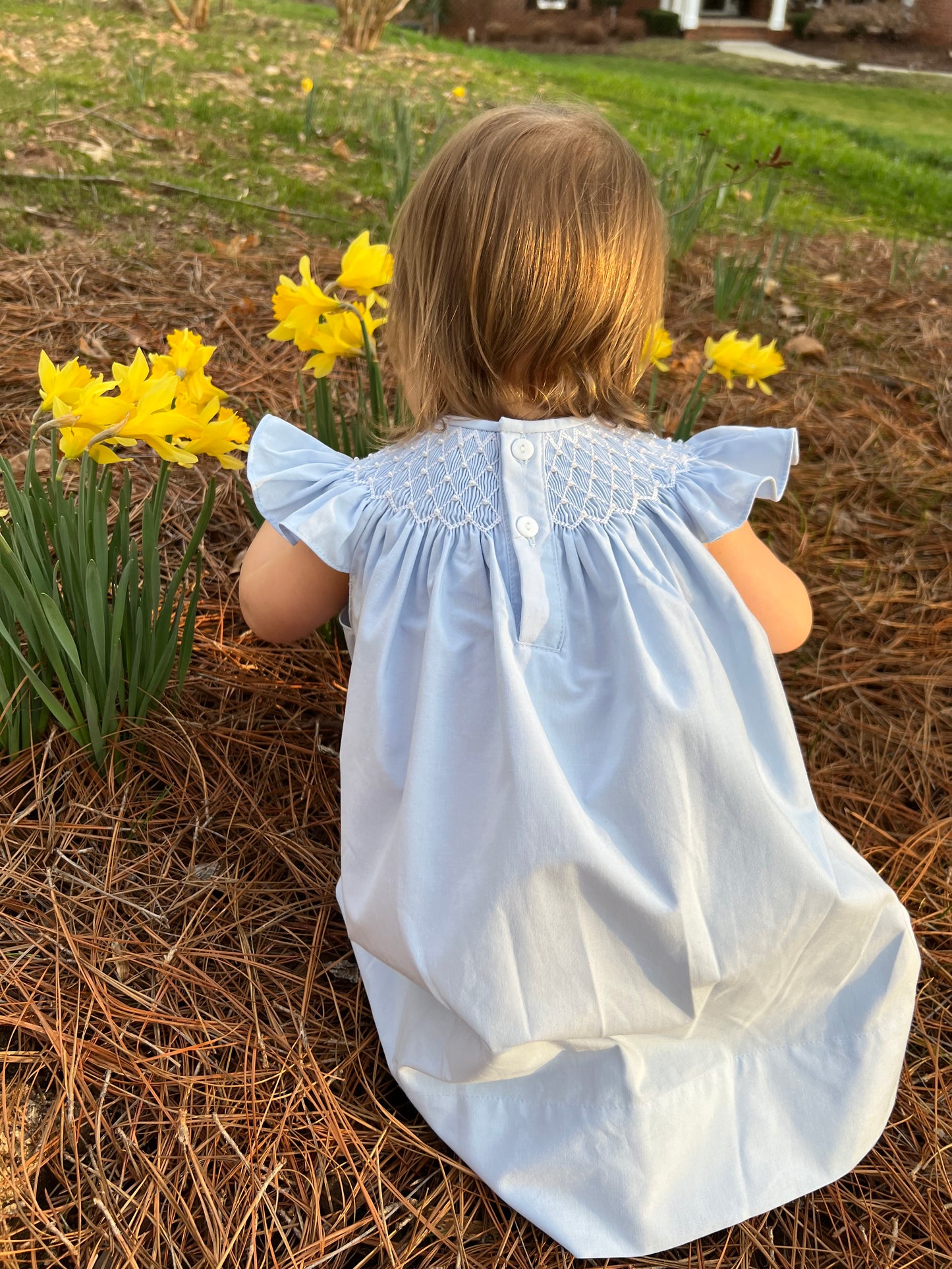 Catherine Pearl Smocked Blue Dress