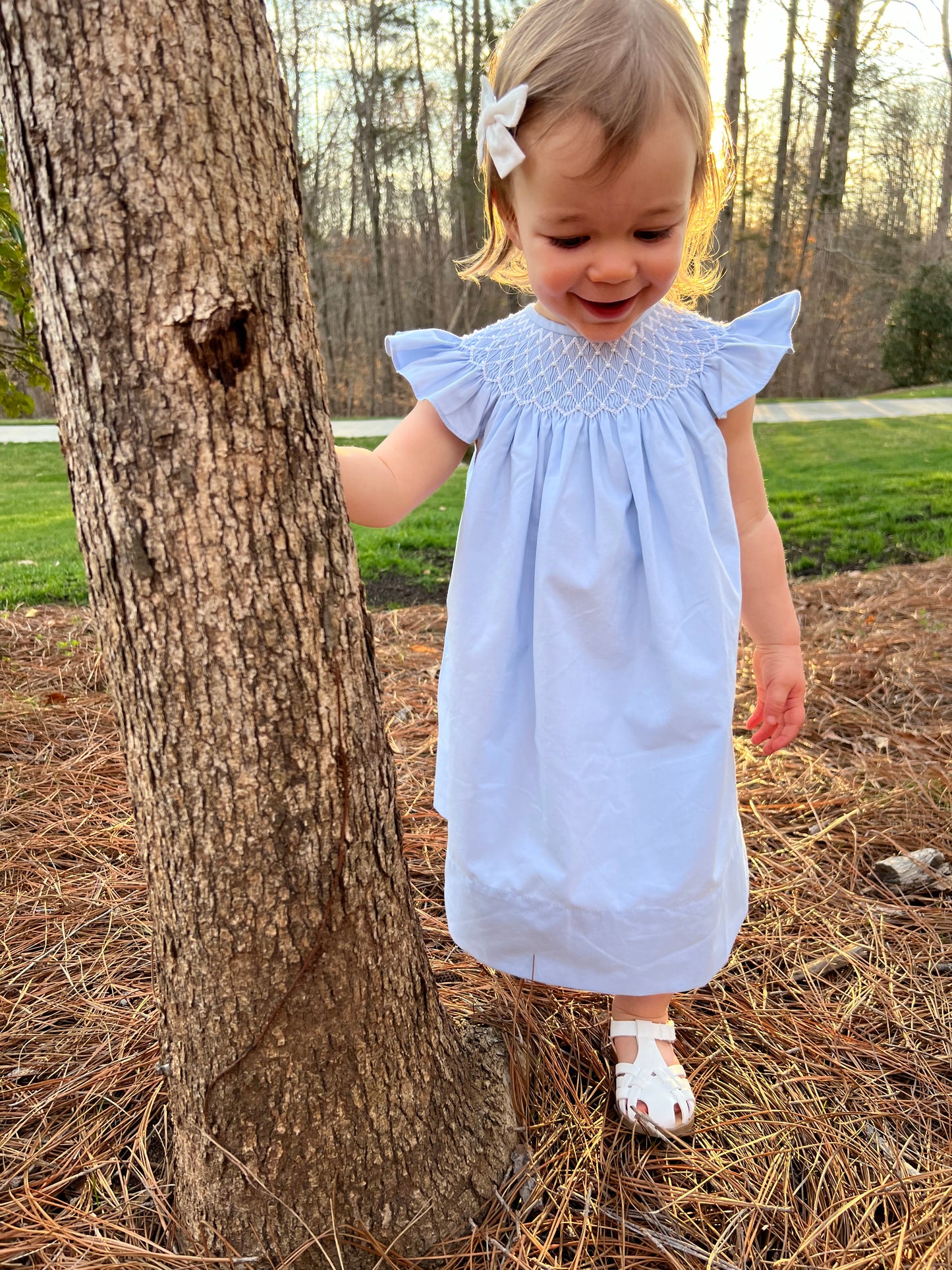 Catherine Pearl Smocked Blue Dress