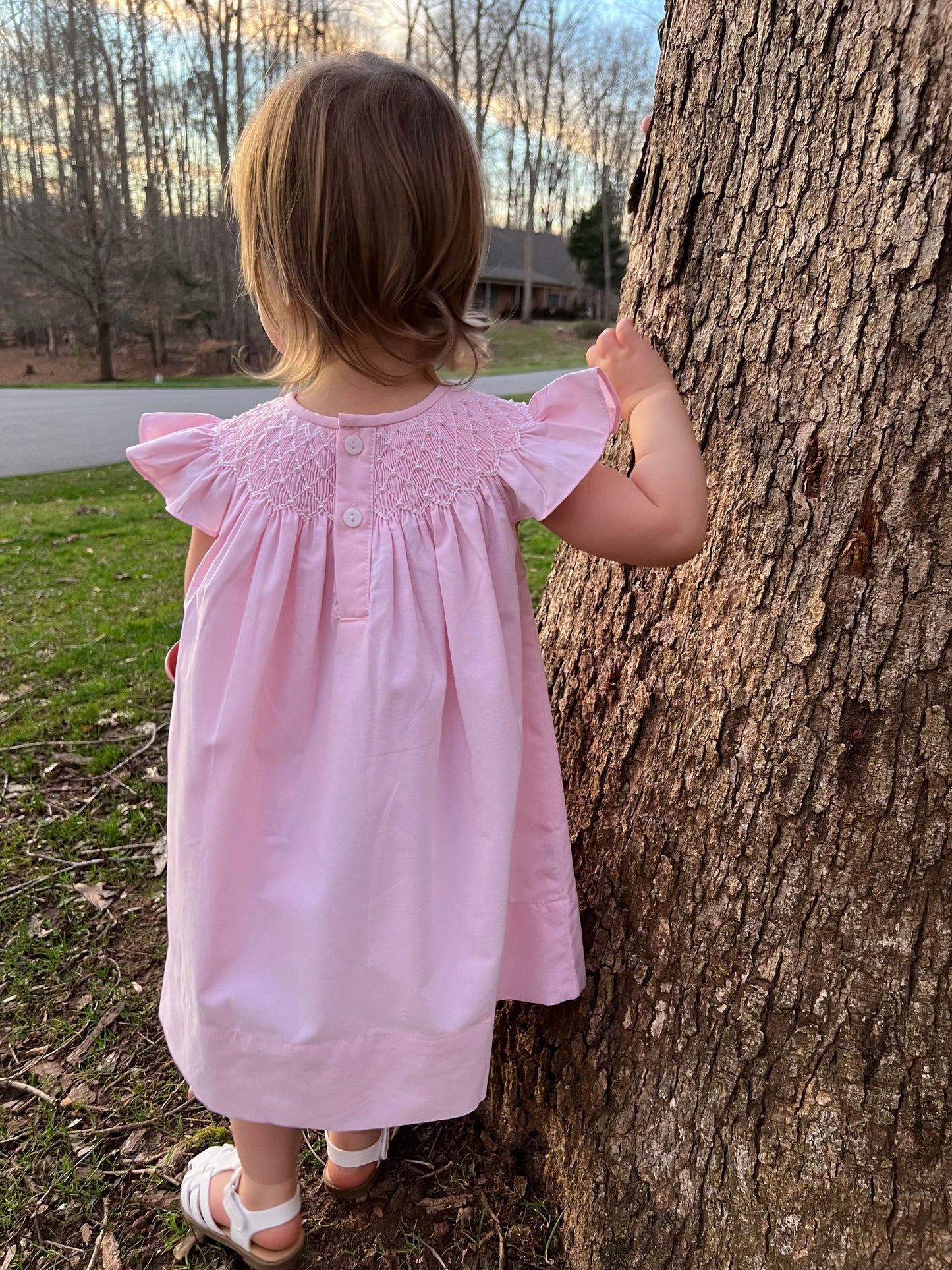 Catherine Pearl Smocked Pink Dress